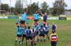 The CHS I lineout was impressive won all their own and 2 CCC lineouts.JPG