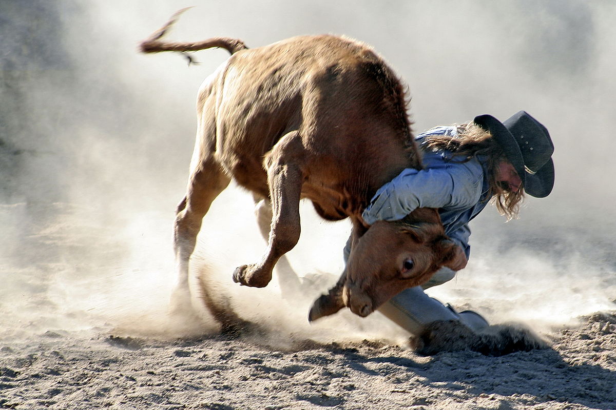 1200px-Rodeo-Steer_wrestling.jpg