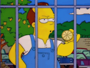 1655158491398.gif