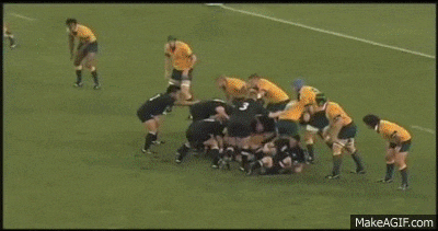 1688857731275.gif