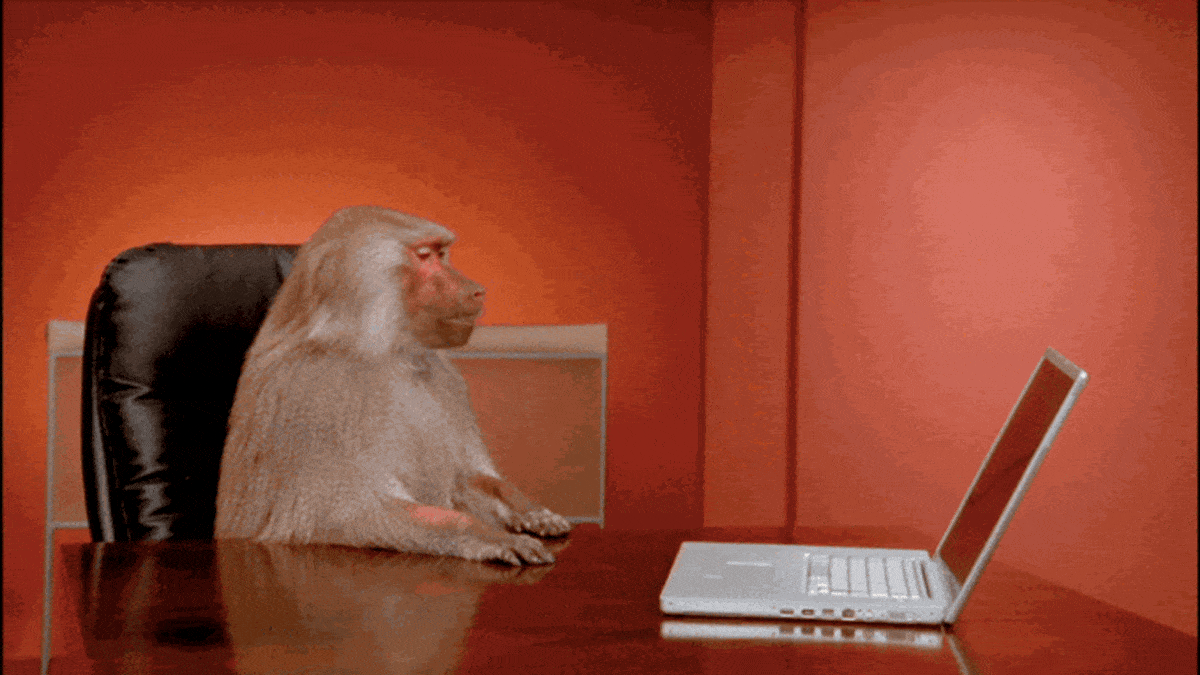 1708768775453.gif