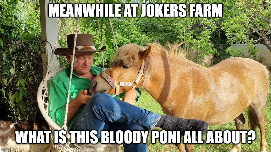 1719743580061.jpeg
