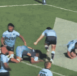 1743845938508.gif