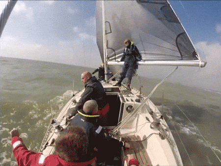 1749861732645.gif