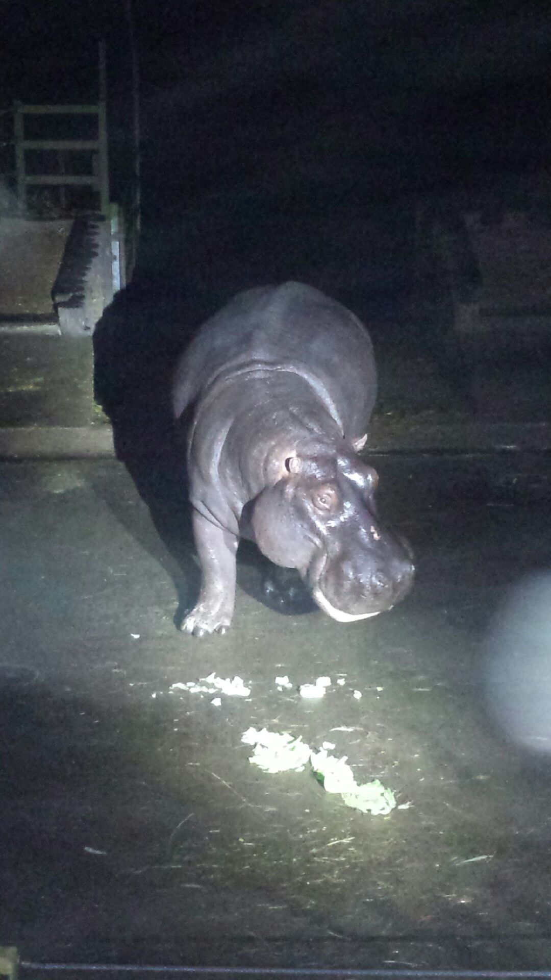 20140924_202457.jpg