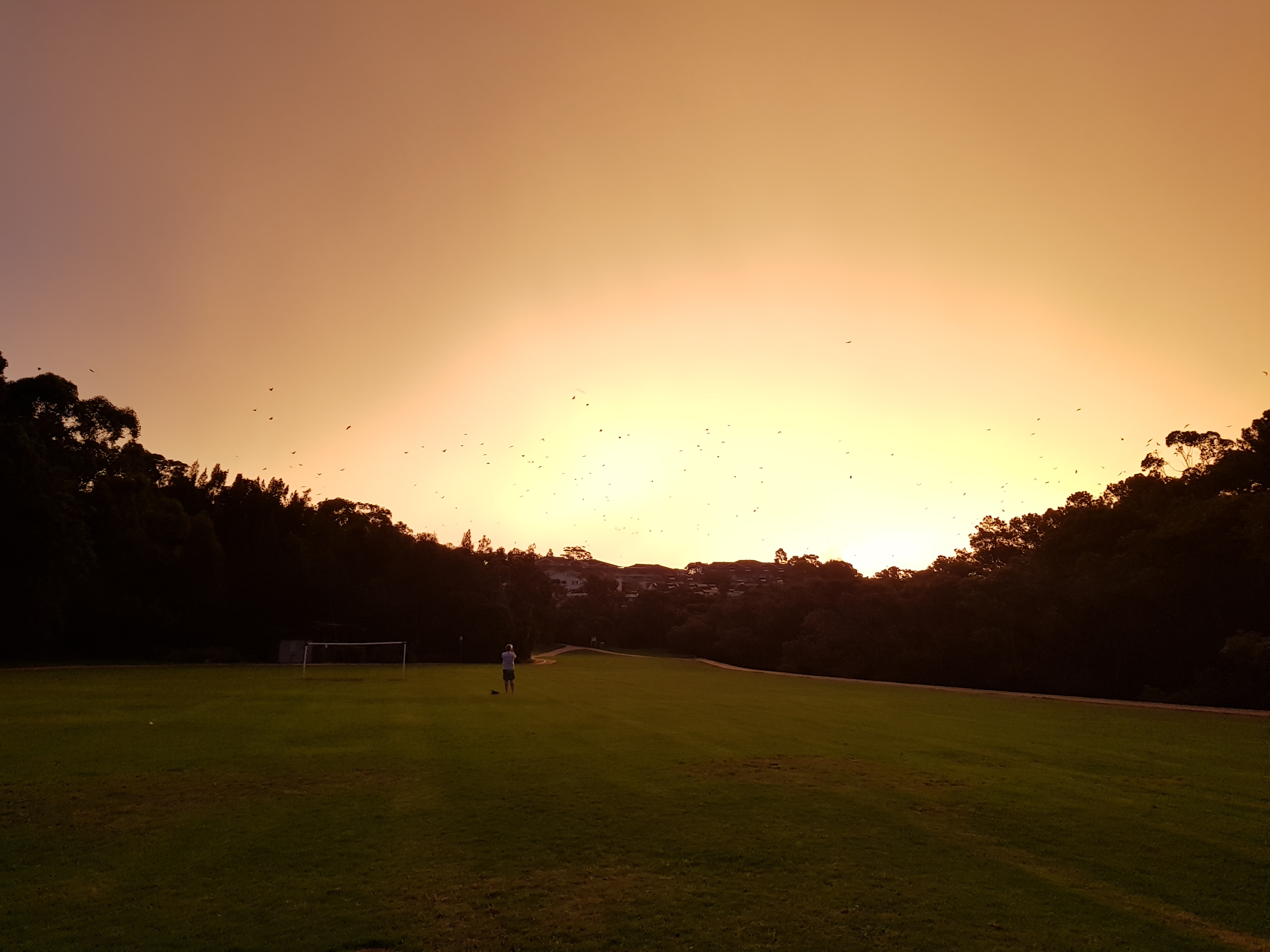 20190322_190052.jpg