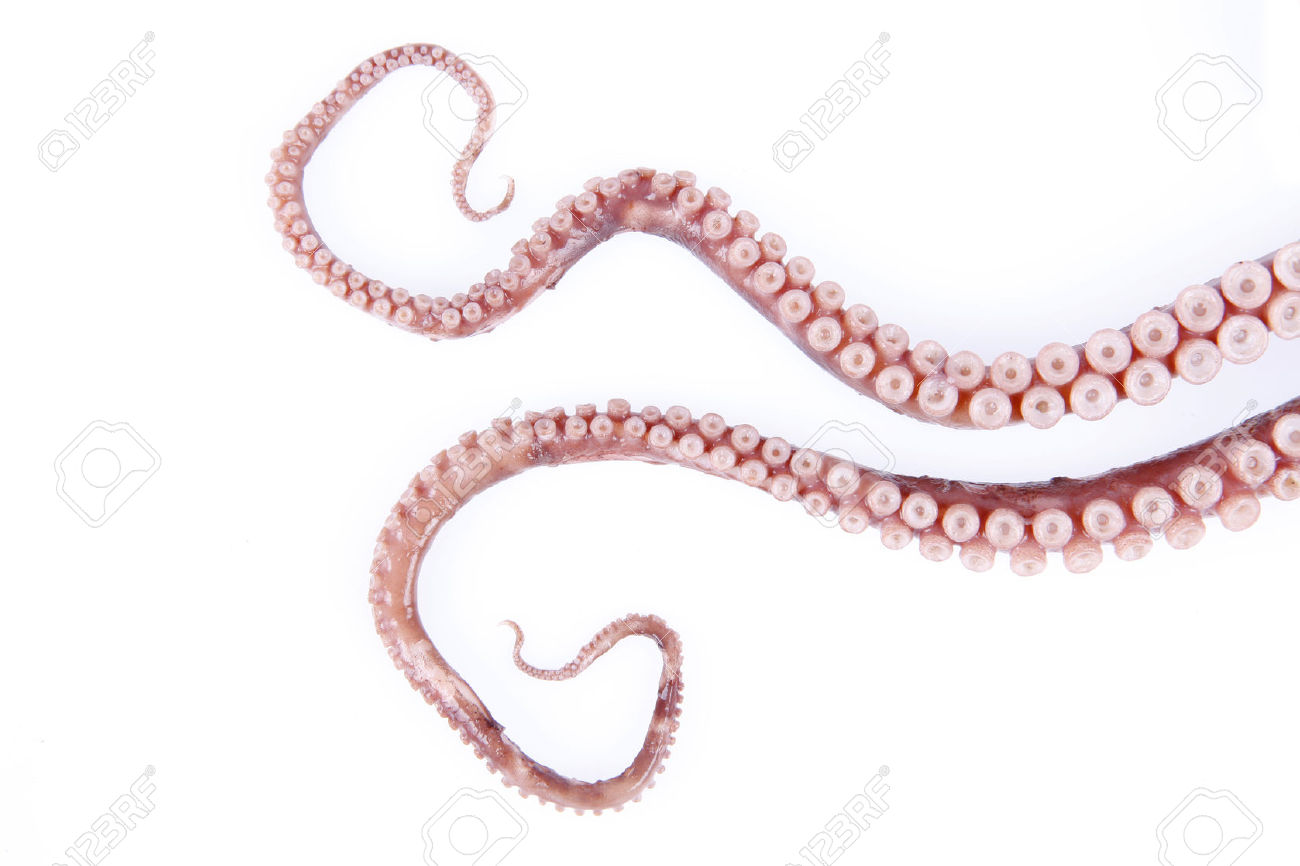 38633346-Octopus-tentacles-close-up-Stock-Photo-tentacles.jpg