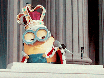 74156857-1586-4500-9988-fd6cd85e62f8_334x250.gif