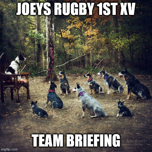a.jpg