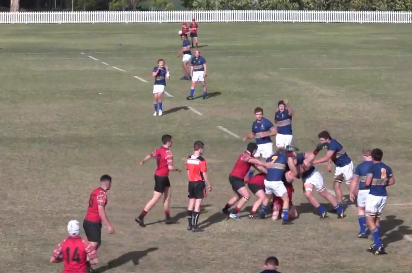 ACGS tackle.png