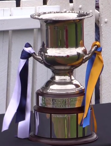 Andy Purcell Cup - QLD Rugby.jpg