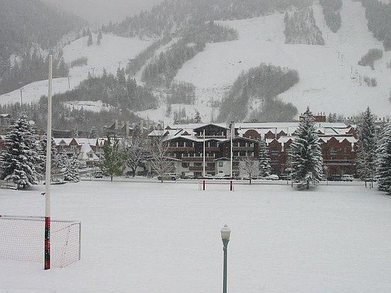 aspen rugby fields.jpg