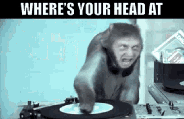 basement-jaxx-wheres-your-head-at.gif