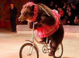 bear 2.jpg