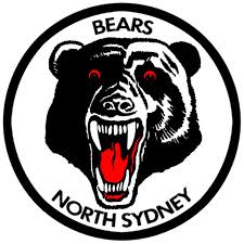 bears.jpg
