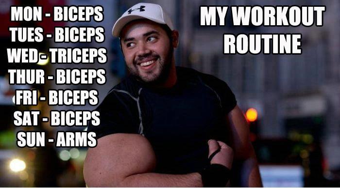biceps.jpg