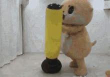 bop-bag.gif