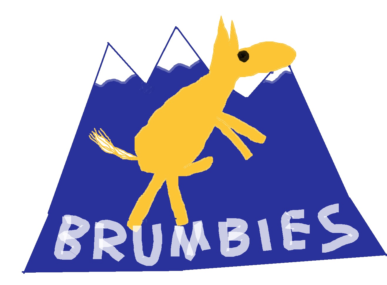 brumbies.jpg