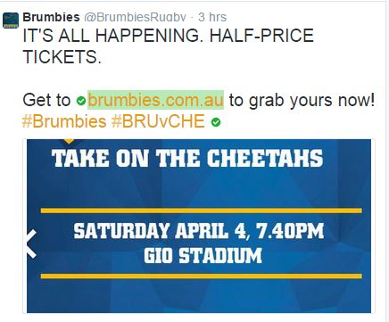 Brumbies .JPG