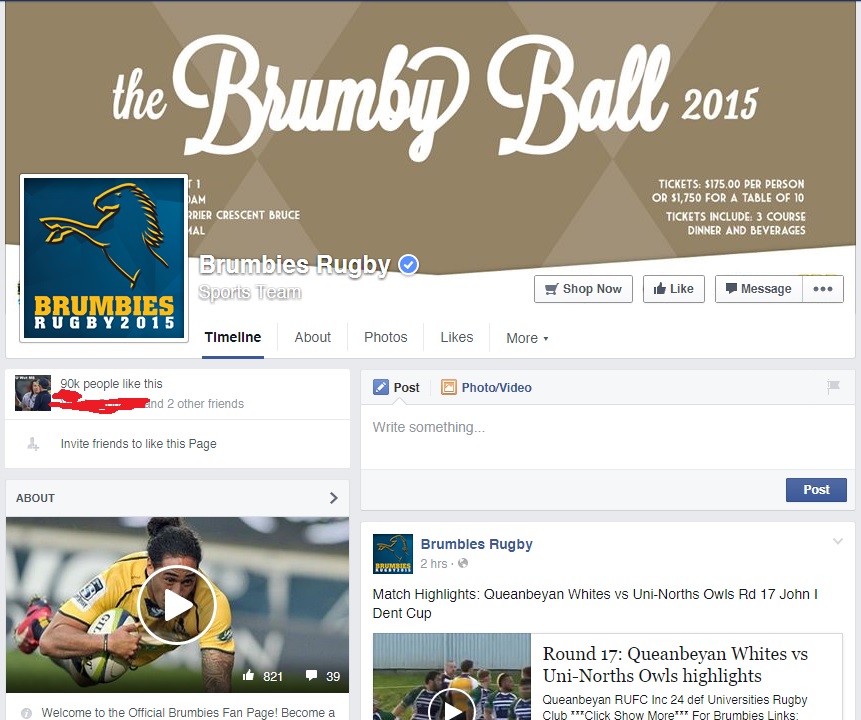 brumbies.jpg