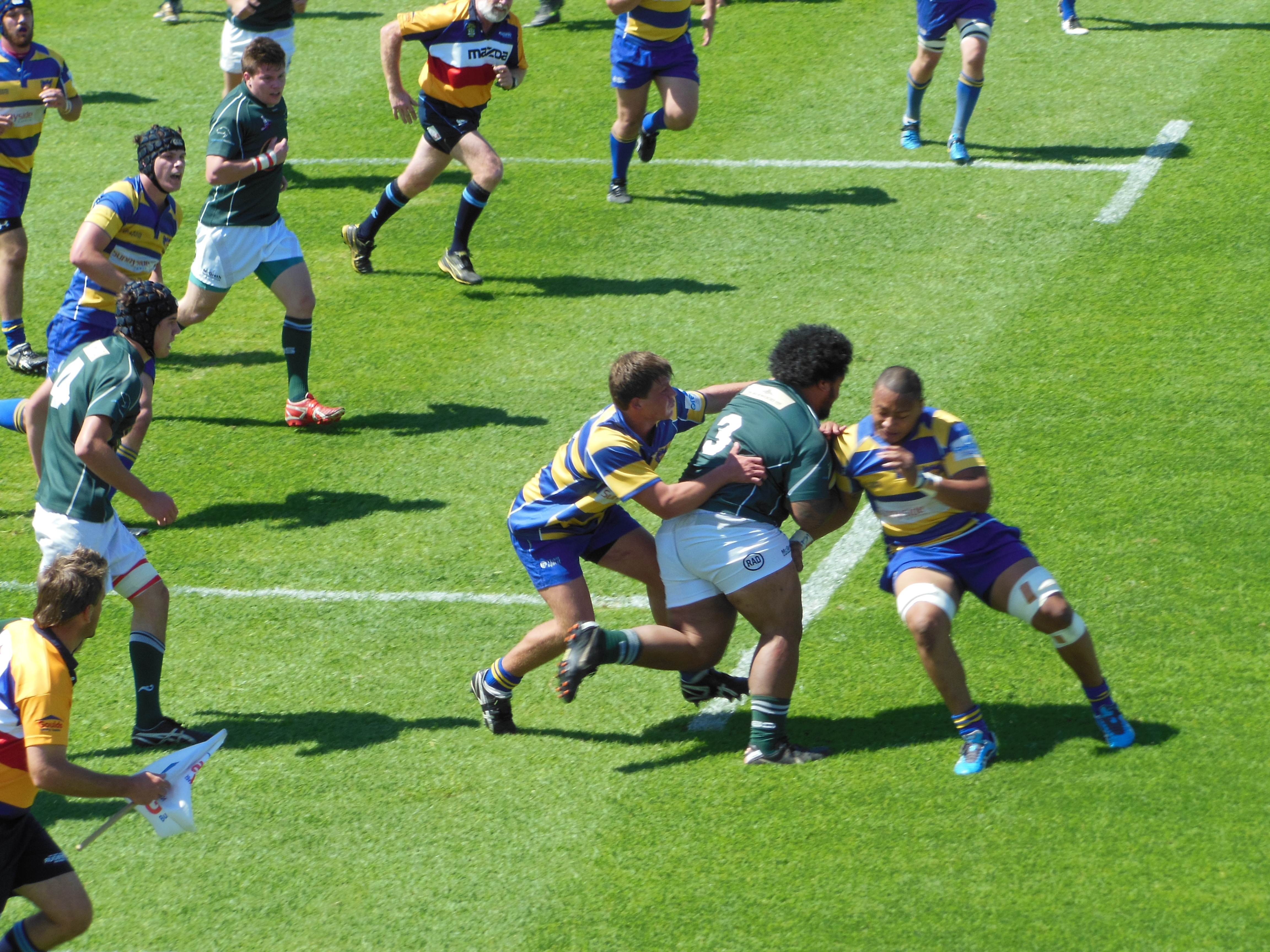 Coltd 2012 2.JPG