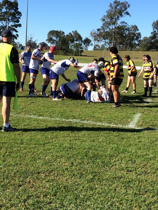 Colties at Penrith 2.jpg