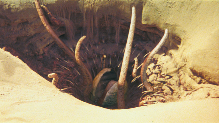 databank_sarlacc_01_169_c5356bf9.jpg