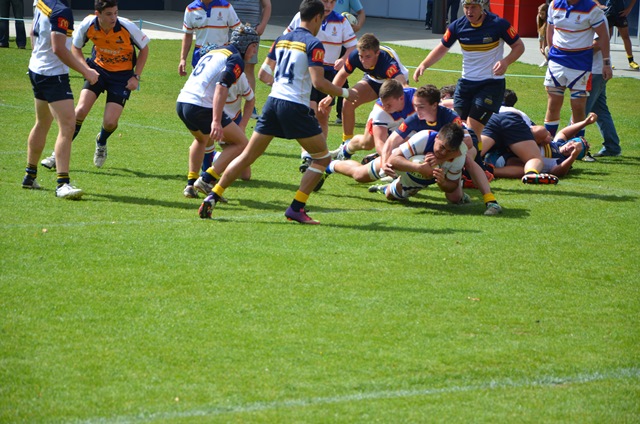 DSC_3697 U16 try  .jpg