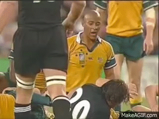 George_Gregan_Four_More_Years.gif