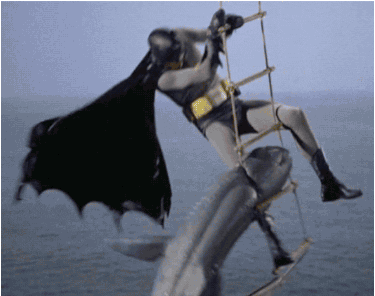 giphy(1).gif