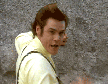 giphy-3.gif