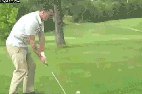 giphygolf.gif