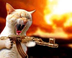 image.gif
