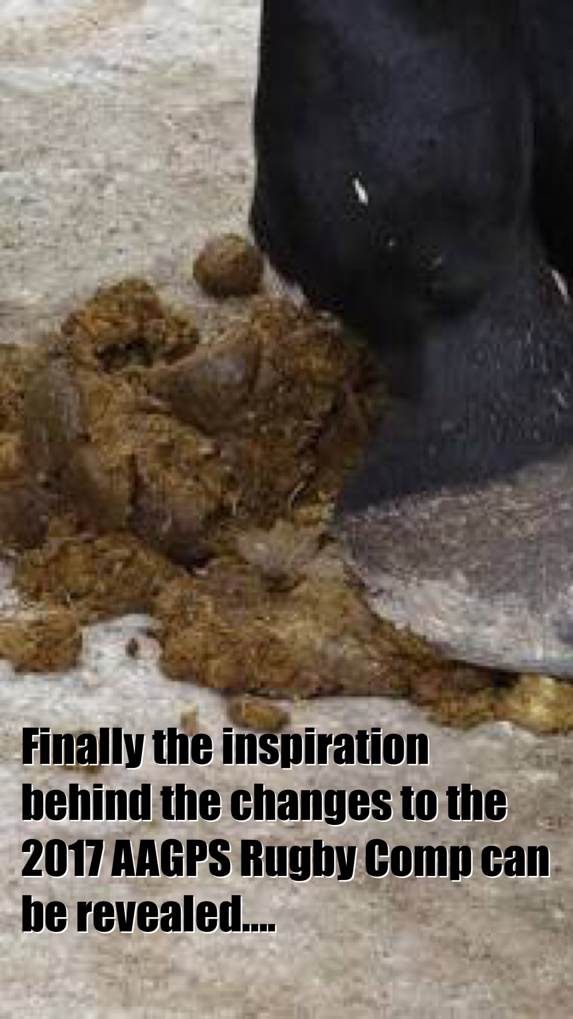 image.jpeg
