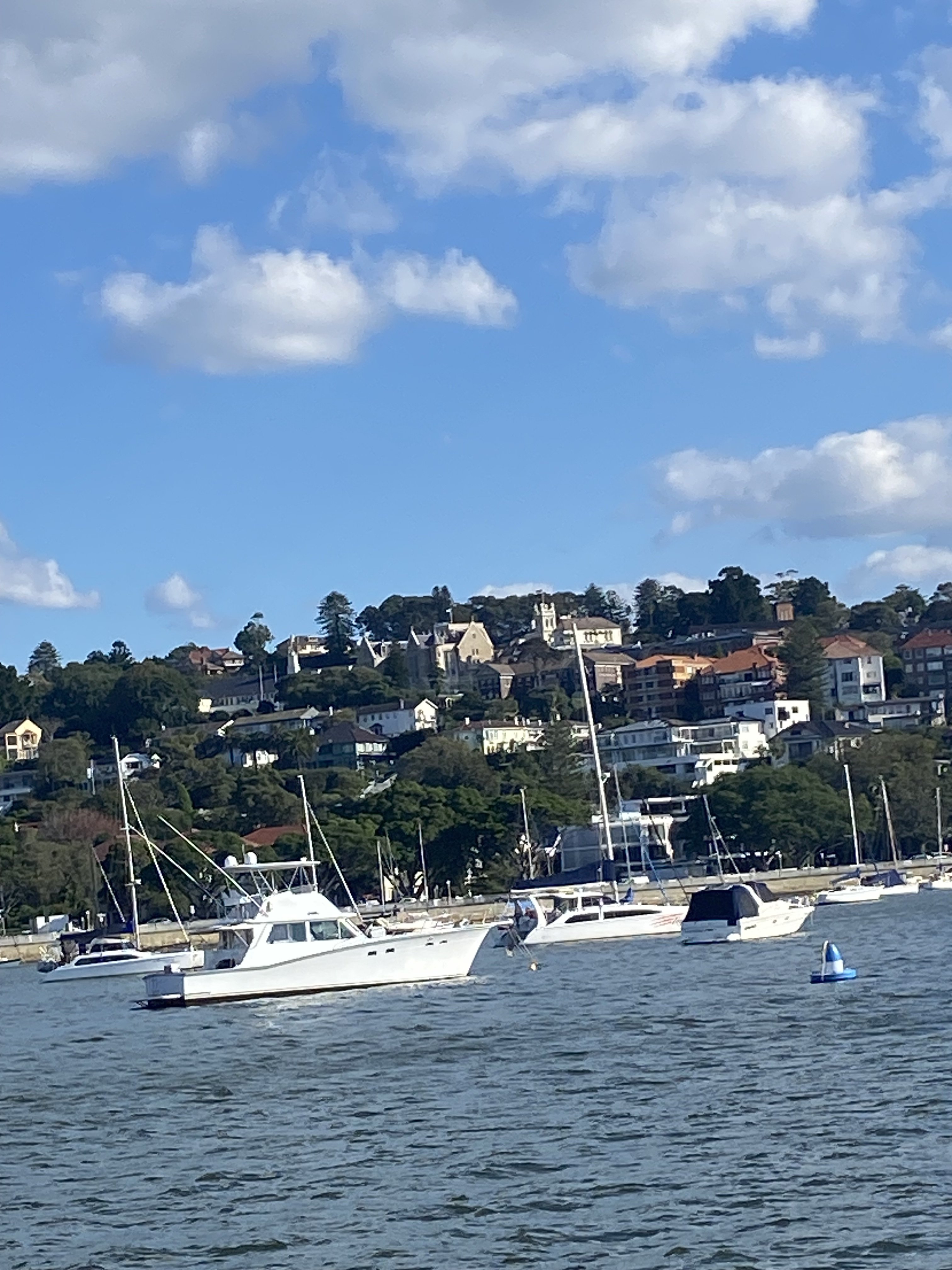 IMG_3597.jpeg