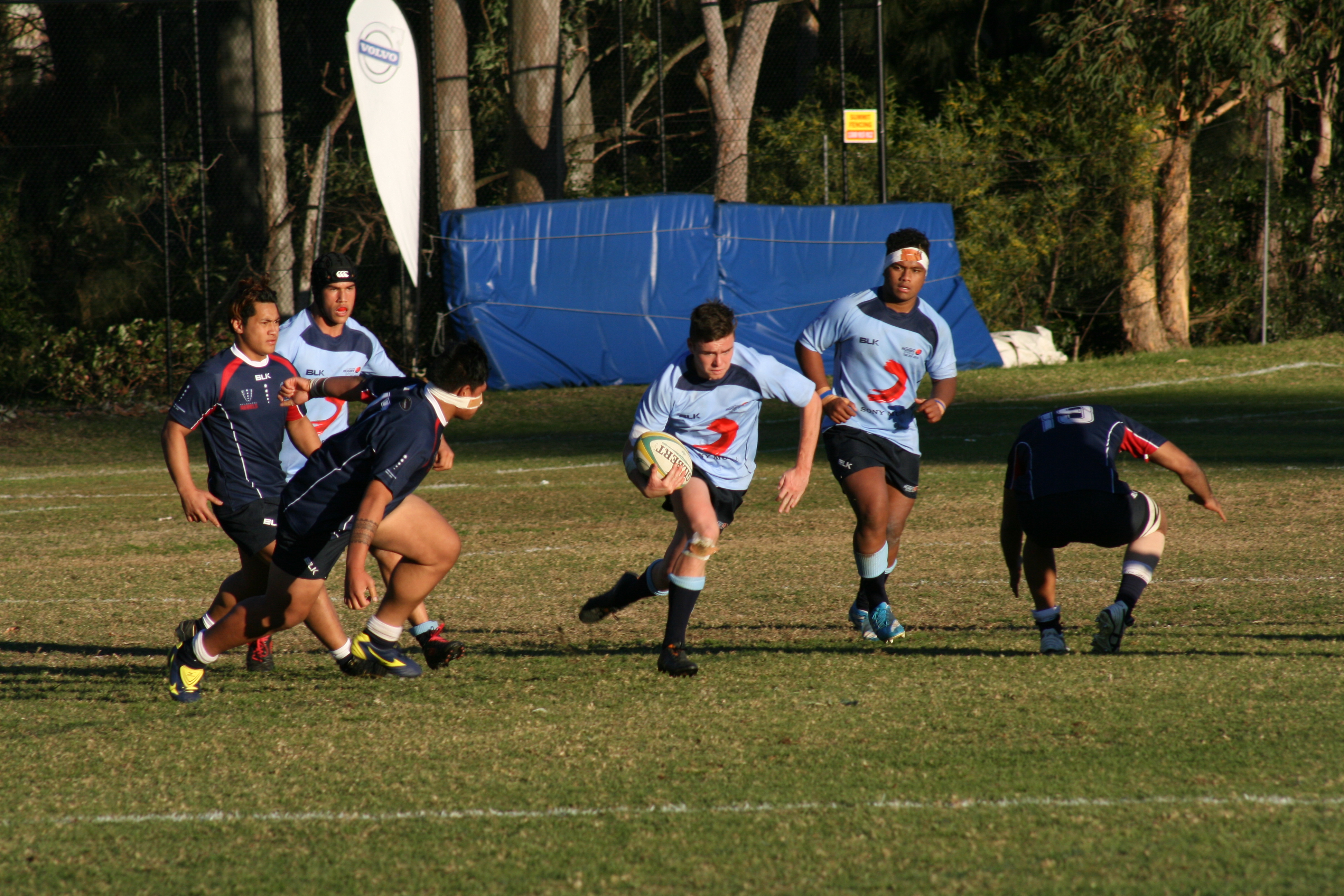 IMG_4684.JPG