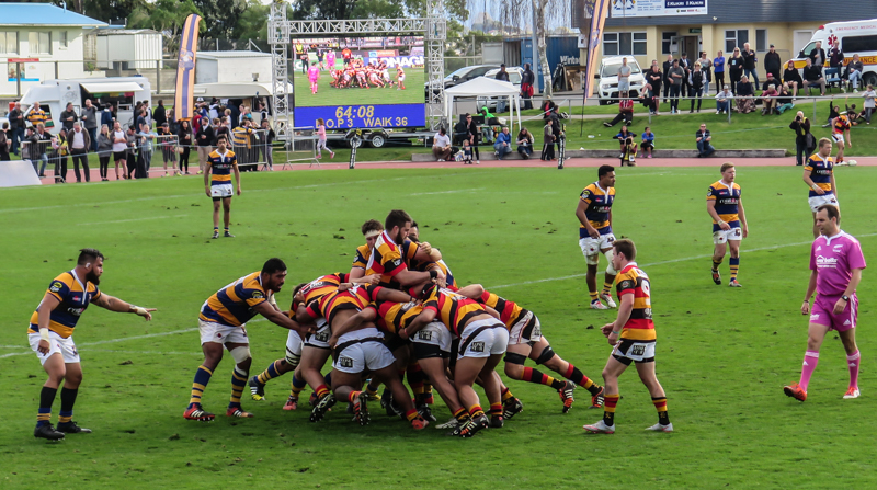 IMG_5200.jpg
