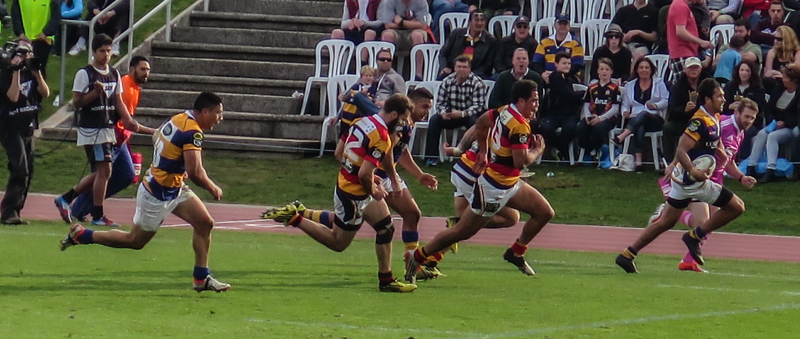 IMG_5205.jpg