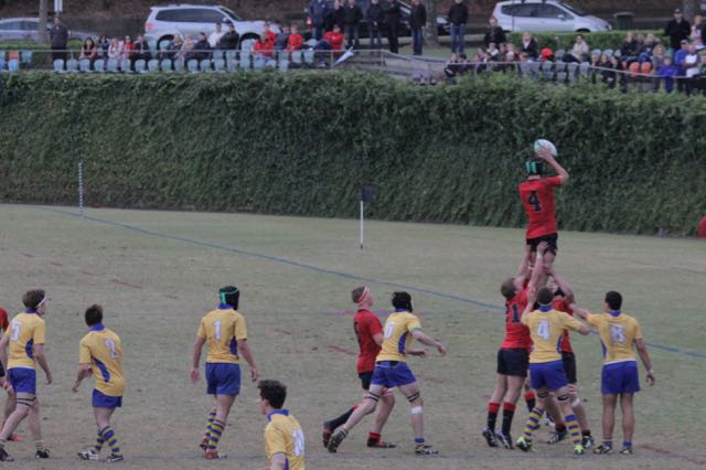 IMG_6379.jpg