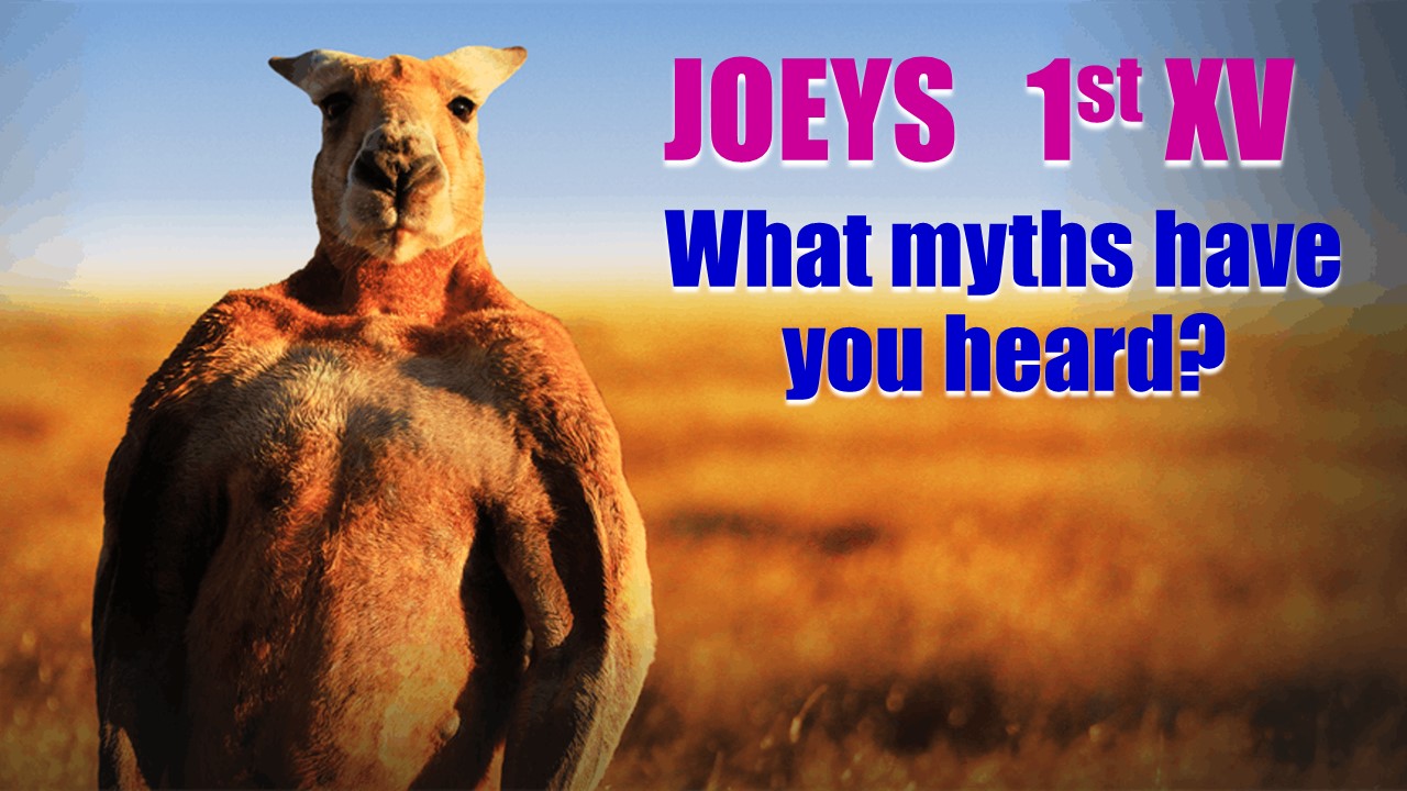JOEYS RUGBY- 1st XV myths.jpg