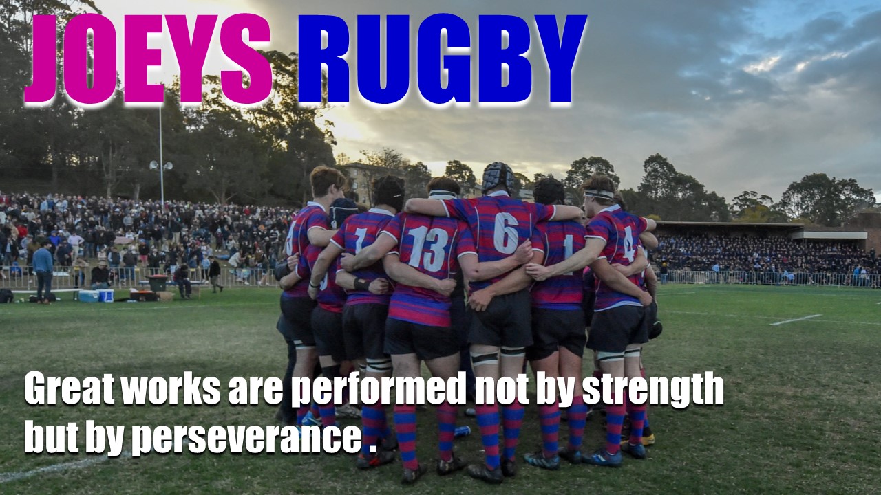 JOEYS RUGBY- Perserverence.jpg