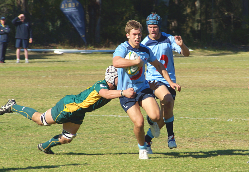 NSW-CS-small.JPG