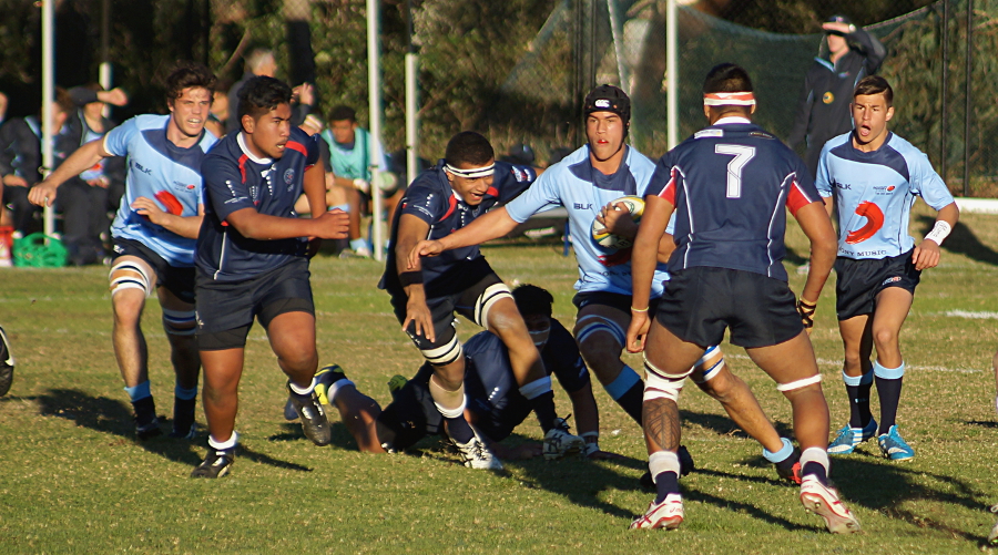 NSW-Vic-2-small.JPG