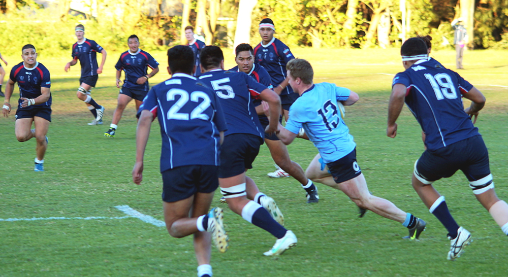 NSW-Vic-6-small.JPG