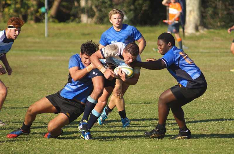 NSW2-WA-4-small.JPG