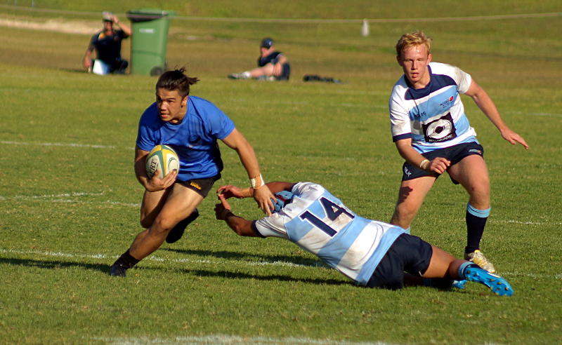 NSW2-WA-7-small.JPG