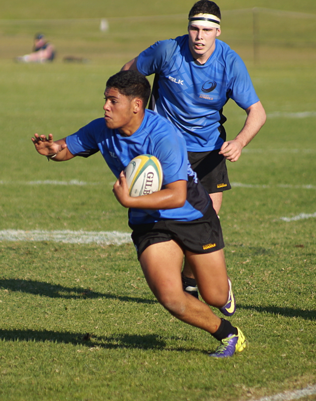 NSW2-WA-8-small.JPG