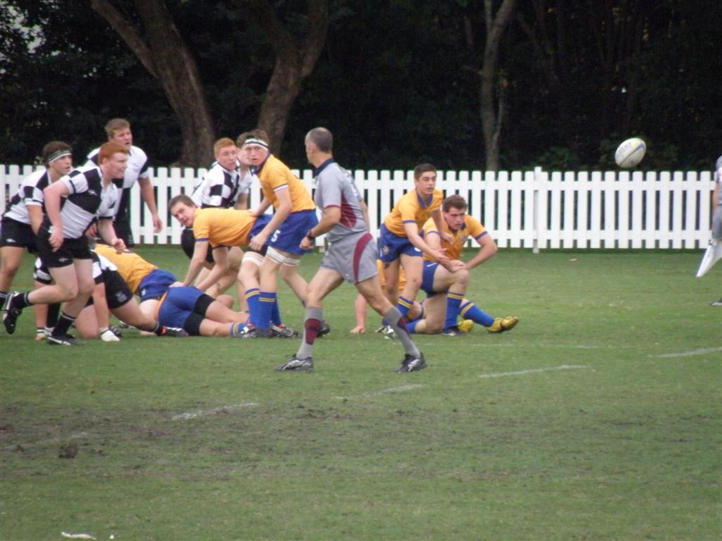 P6010142 (Large).JPG