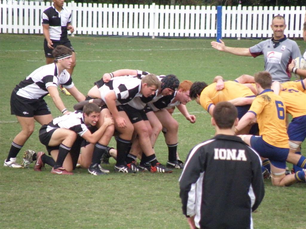 P6010155 (Large).JPG