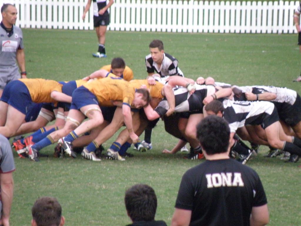 P6010177 (Large).JPG